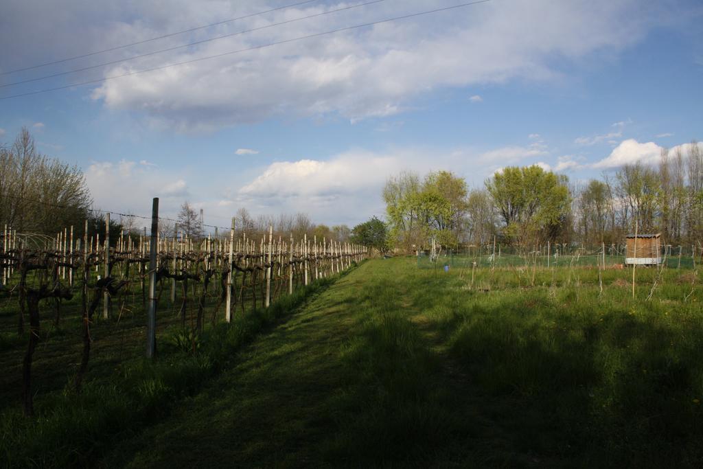 I Guardiani Bed & Breakfast Carlino Exterior photo